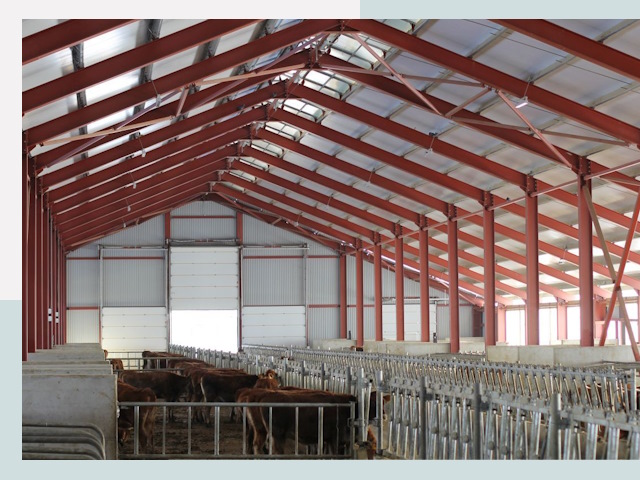 Строительство коровников в Тайшете