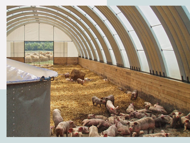 Строительство свинарников в Тайшете