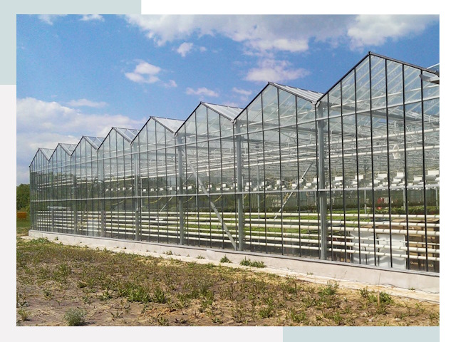Строительство теплиц в Тайшет от 623 руб. за м²