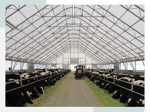 Тентовые коровники в Тайшете от 623 руб. - Надежно и доступно